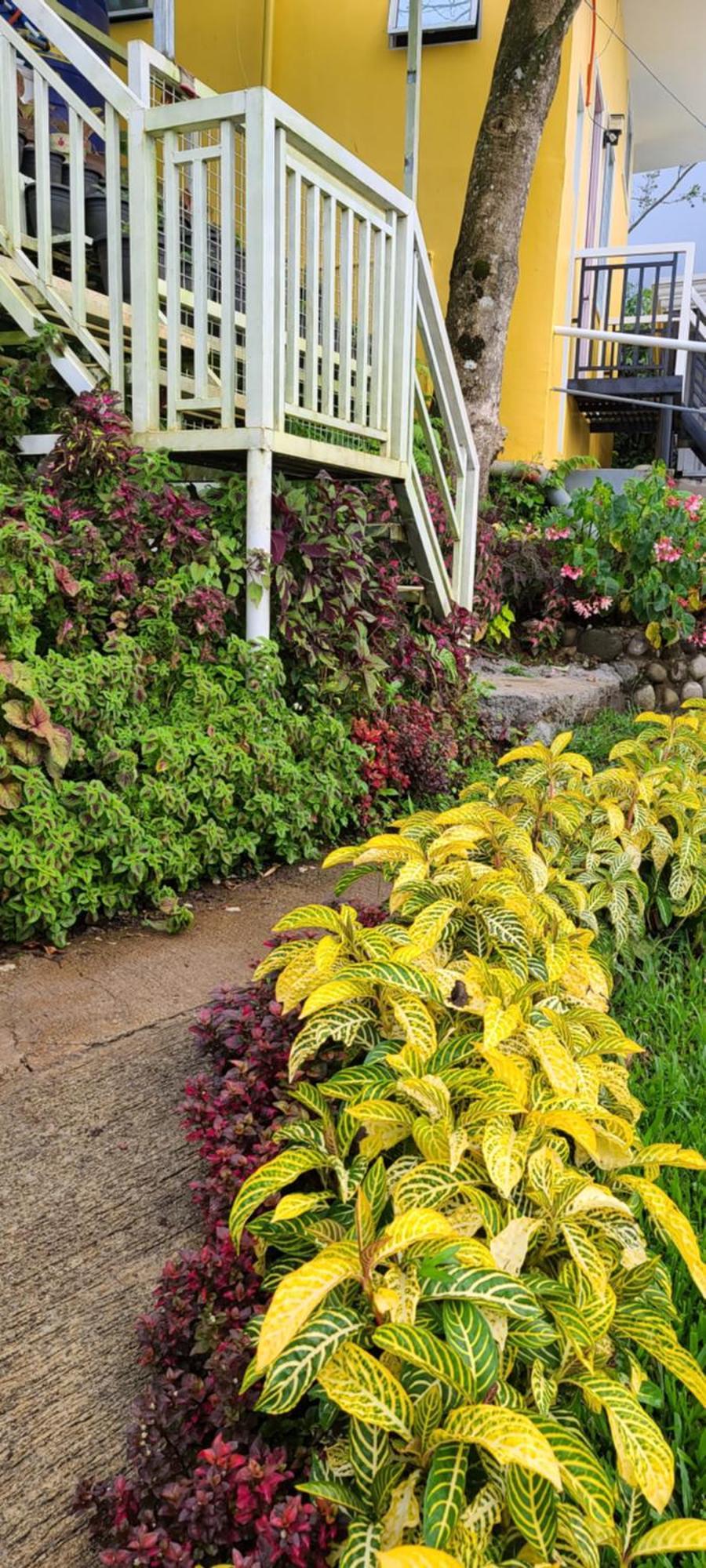 Serene Mountain Escape Digos Exterior foto