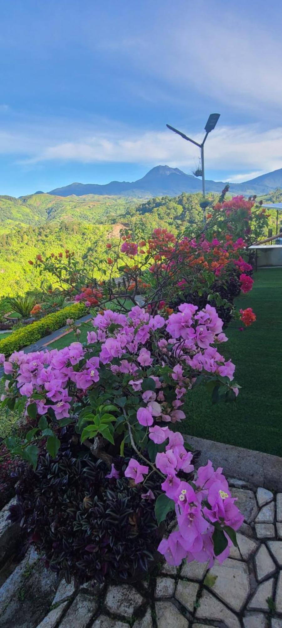 Serene Mountain Escape Digos Exterior foto